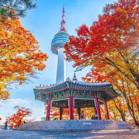 Paket Tour Korea  Seoul  Nami