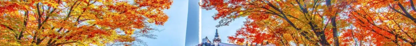 Beautiful Korea - Seoul Nami Seorak 6D4N