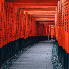Special Long Weekend  Golden Route Japan Shirakawago 7D4N