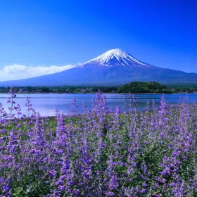 Summer Sale  Golden Route Japan Shirakawago 7D4N